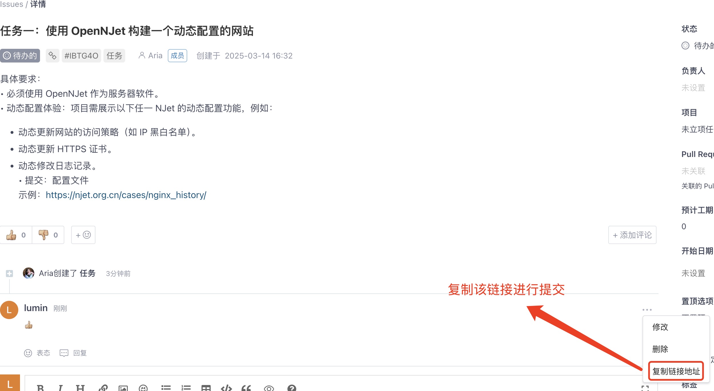 Gitee issue评论地址